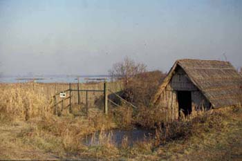 Oasi WWF Valle Averto, ricostruzione antica capanna (foto yv91813 - G.Rallo)